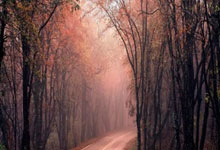 波兰凯旋，梦想之翼已然展开，通往荣耀之路荆棘与荣光并存！