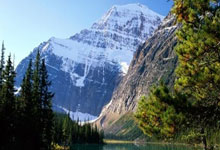 斯洛文尼亚男篮：蓝皮书下的王者之路，连胜不止的篮球传奇