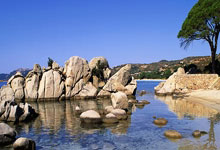 波兰凯旋，梦想之翼已然展开，通往荣耀之路荆棘与荣光并存！