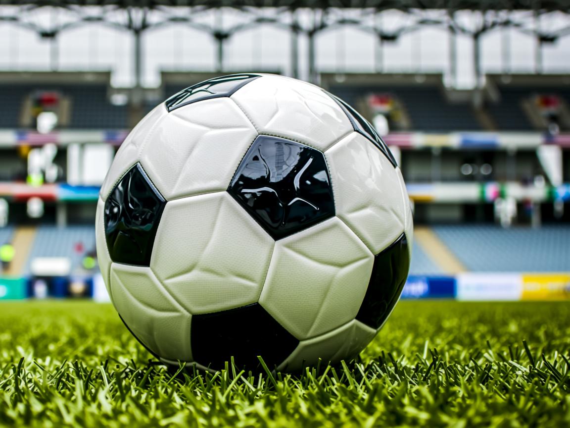 爱游戏app下载-“举重盛宴：2025世界运动会高新体育中心上演力量巅峰较量”