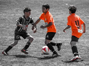 爱游戏平台-NBA最佳新秀竞争激烈 三人数据旗鼓相当，nba最佳新秀含金量  第3张